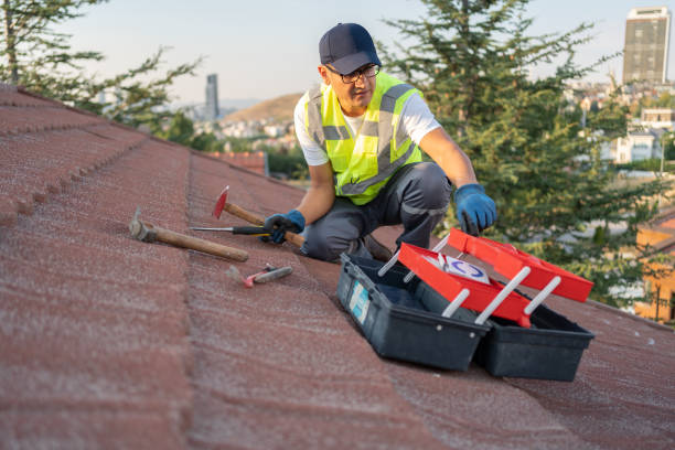 Storm Damage Siding Repair in Paloma Creek, TX